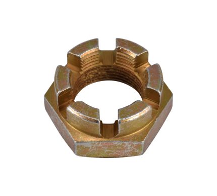 DN-NUT