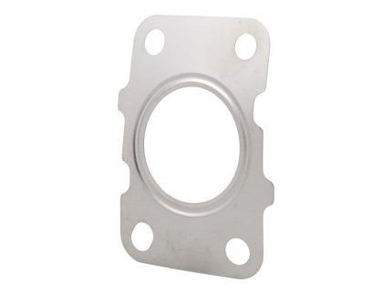 DTZ-Gasket