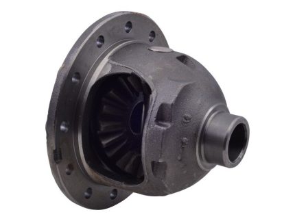 DIFFERENTIAL CASE ASSY
