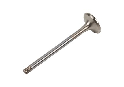 EXHAUST VALVE