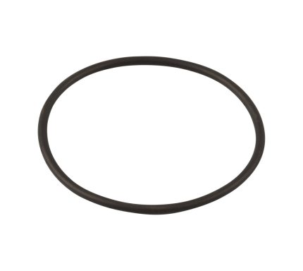 GM-O-RING, THERMOSTAT