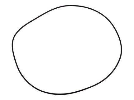 O-RING