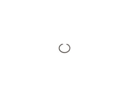 RETAINING RING