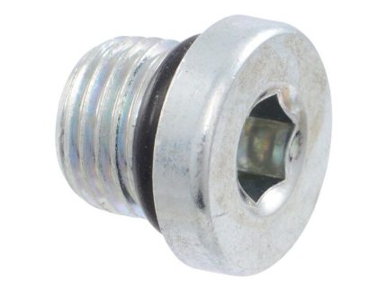 SCREW PLUG W/SEAL